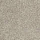 Summer Grain Summer Grain