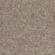 Taupe Mist Taupe Mist