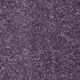Violet Violet