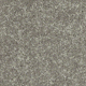Warm Gray Warm Gray